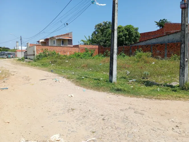 Raridade