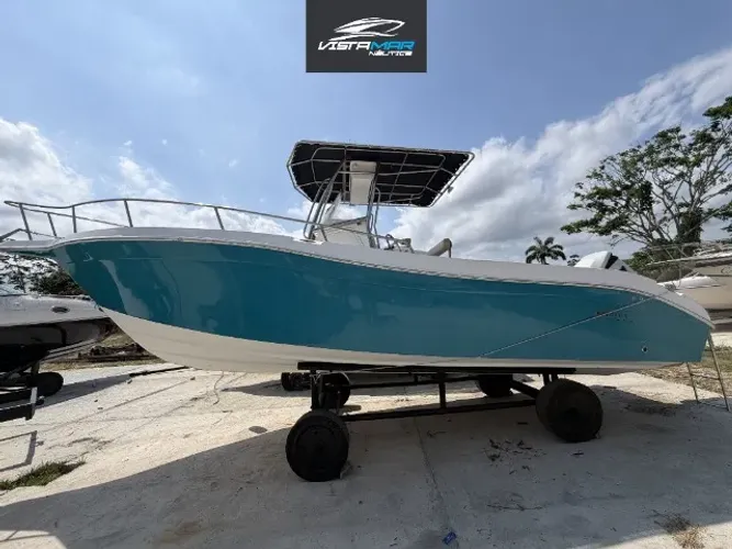 Lancha Fishing Raptor 265 (Oportunidade)