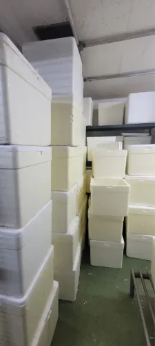Caixas de isopor 