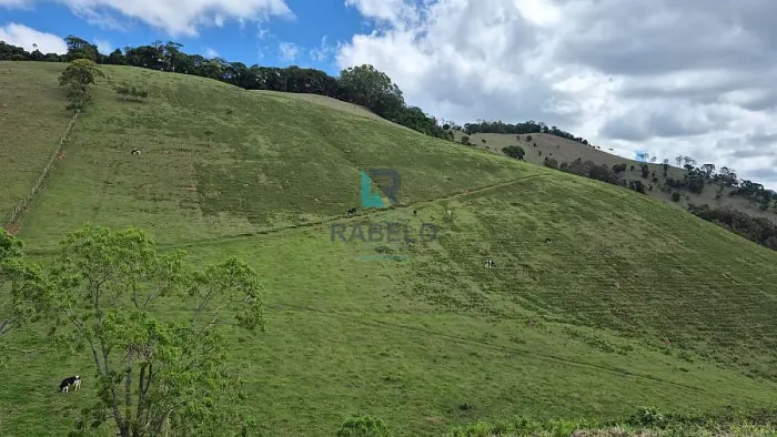 SÍTIO PARA PLANTAÇÃO DE OLIVEIRAS E UVAS EM CRISTINA-MG