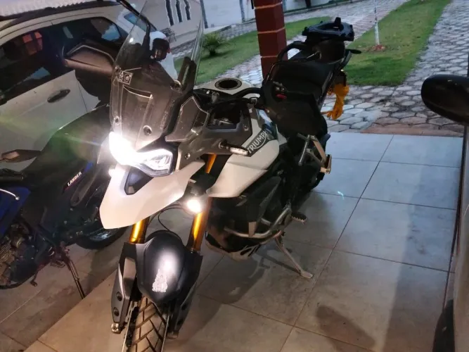 Moto Triumph Tiger