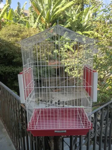 Vendo gaiola para calopsita 