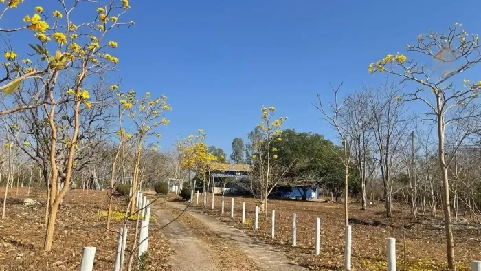 Chácara Rio dos Peixes, localizada na estrada para Chapada dos Guimarães.