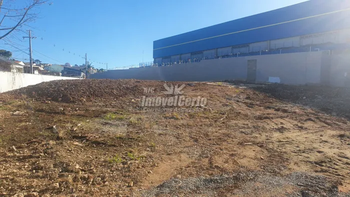 Locação terreno comercial no bairro Atuba, atrás do Assaí