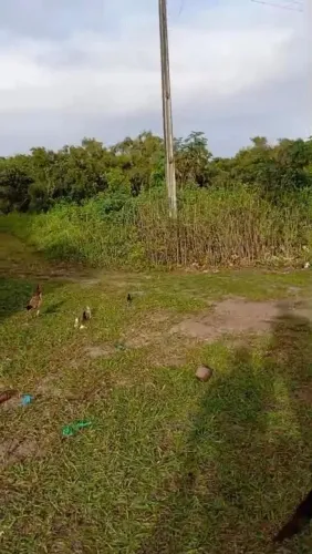 ÓTIMO TERRENO EM PONTAL-INDIAROBA