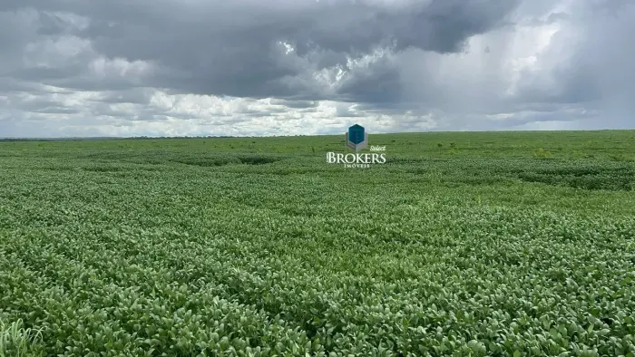 FAZENDA SÃO VALÉRIO | TOCANTINS | OPORTUNIDADE | 212 ALQUEIRES GOIANOS | PRONTA PARA LAVOU