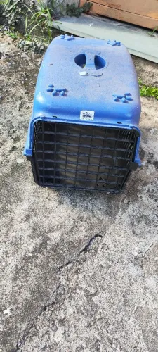 Caixa transportadora de pet