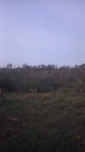 Terra mais barata da região