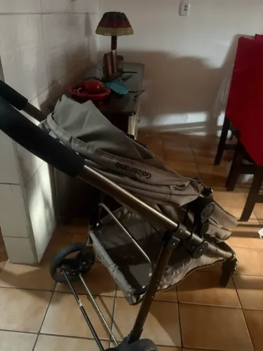 Carinho de bebê Moisés 