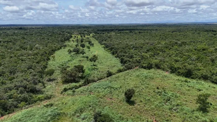 Fazenda dupla Aptidão região de lavoura 160 Alq