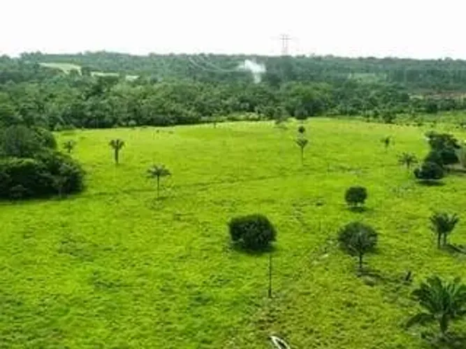 Chácara Exclusiva para Venda em Porto Velho (Bairro Área Rural)