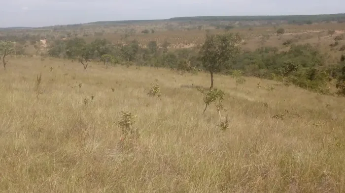 terreno em Três Marias de 3 hectares