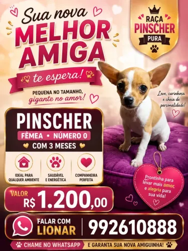 Lindas princesas 
