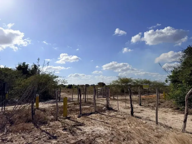 Fazenda a Venda em Macaiba RN - 300 Hectares