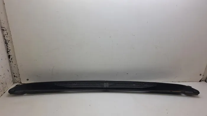 Grade Churrasqueira Citroën C4 Picasso 2.0 16v 2009 / 2010