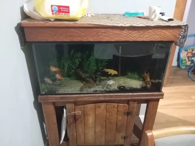 Aquário 200 litros completo