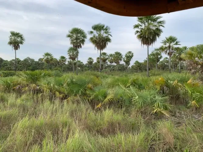 Fazenda 8.700 HA - Pantanal Nabileque