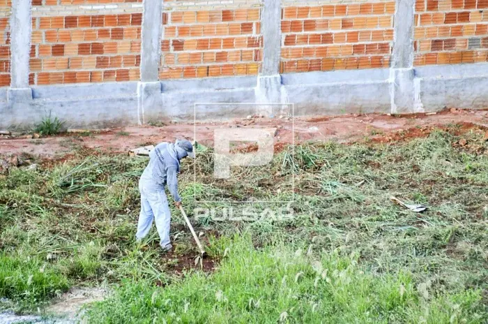 CAPINO SEU QUINTAL