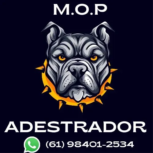 Adestramento de cães 