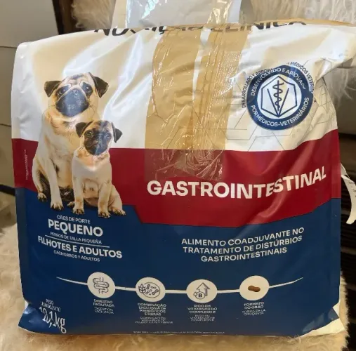 Ração Premier Gastrointestinal