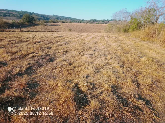 Ajapi Ferraz 20 mil m² pagamento parcelado