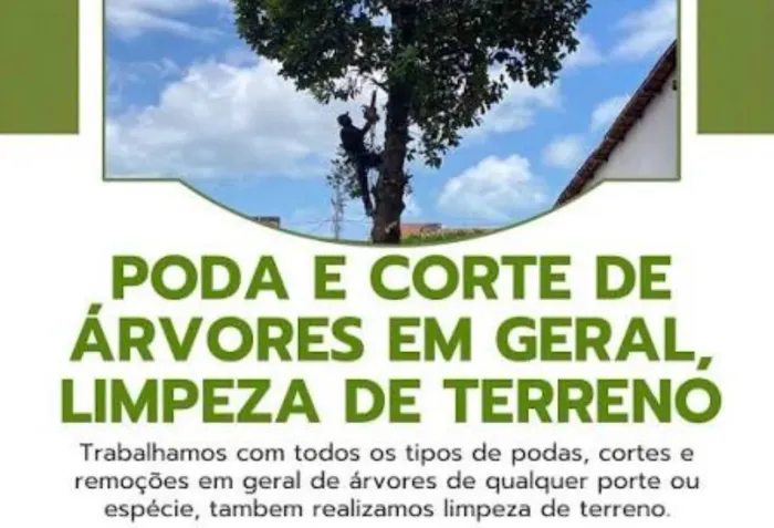 Corte e poda de árvores 062