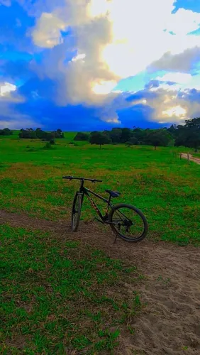 Bicicleta aro 29 nova colli