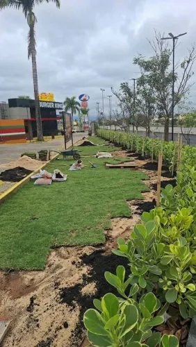 Jardineiragem/paisagismo