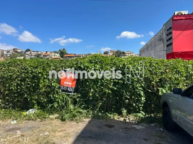 Lote Comercial