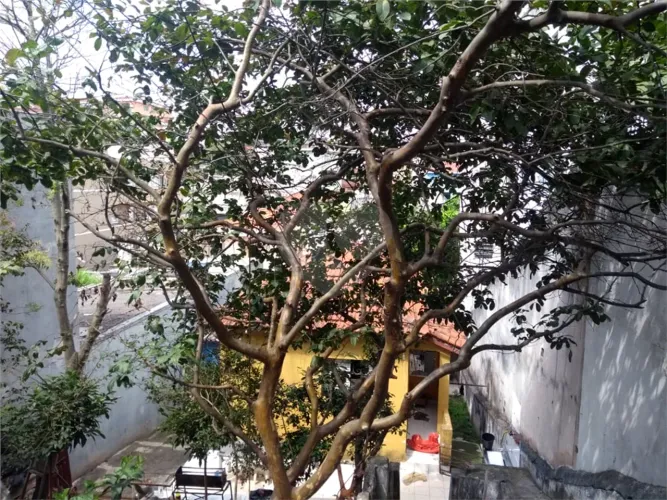 Terreno à venda em Vila dom pedro ii - SP