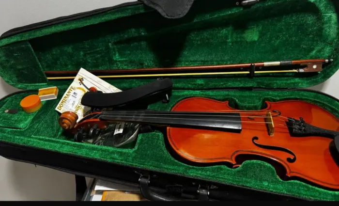 Violino Parrot - Iniciante 