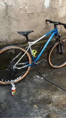 Bike Audax 29