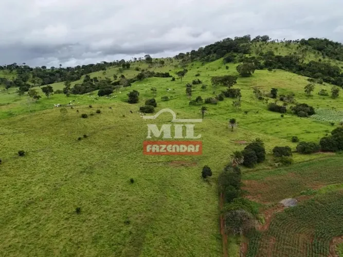 Fazenda 2 alqueires (9,68 hectares) Inhumas - GO