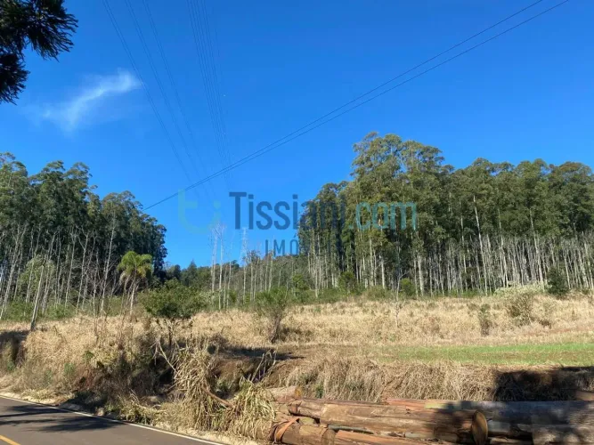 Terreno, Linha Pilão de Pedra - Xaxim