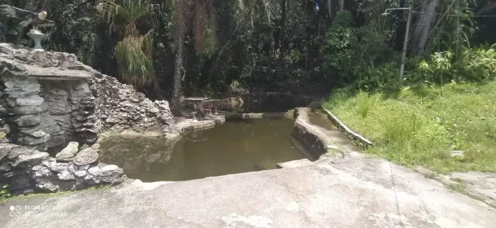Viva cercado pela natureza e desfrute de uma vida tranquila e produtiva!
