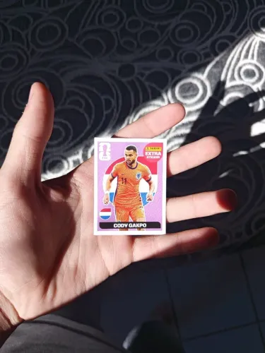 Legend bordo (Cody Gakpo)
