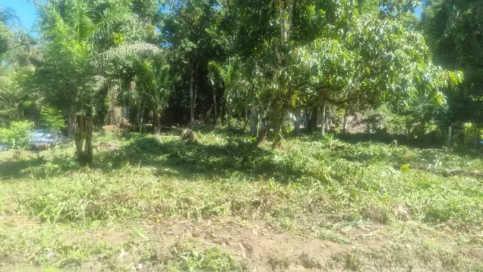 Vendo terreno em Antonina, KM4. Valor R$ 80 mil, aceito troca por terreno em SJP.