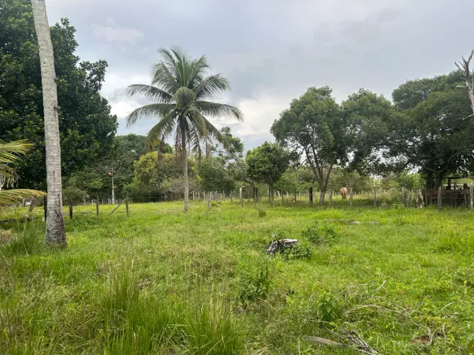 Oportunidade Única - Área Urbana - Vila do Riacho - Aracruz ES