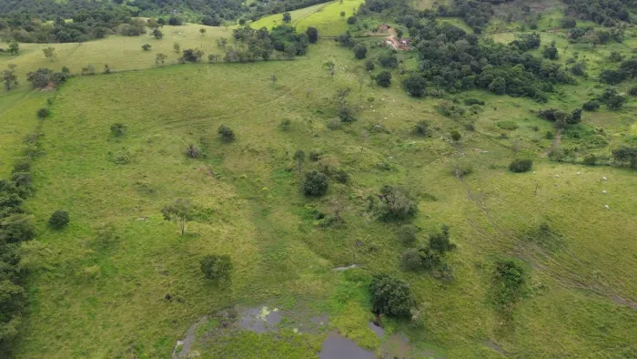 Fazenda 44,2 hectares, Belém de Maria PE