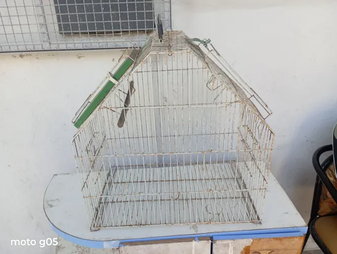 Gaiola para calopsitas