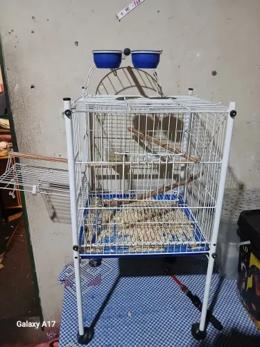 Gaiola para aves mansas