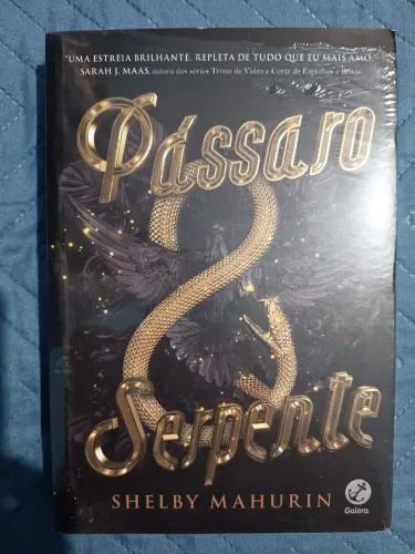 Livro Pássaro e Serpente vol.1 - Shelby Mahurin