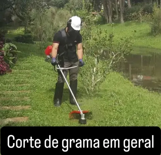 Jardim 