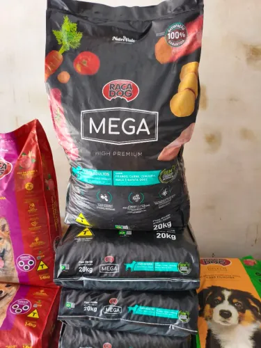 Raça dog Mega 