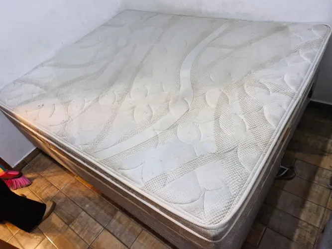 Cama Queen Premier firme