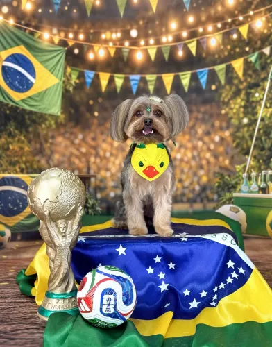 Procuro namorada cachorro