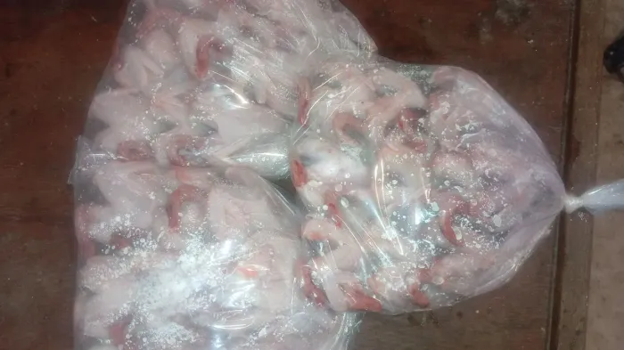 Vende-se cordona abatida