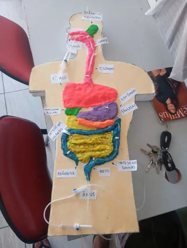 Maquete Sistema Digestivo