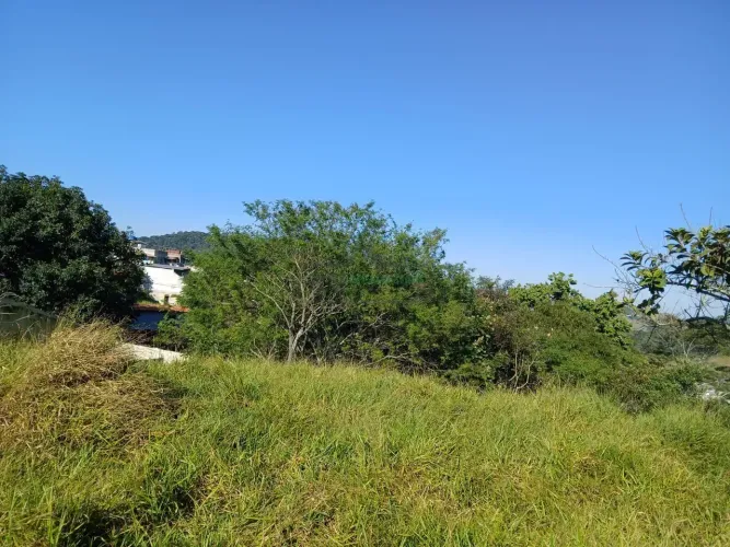 TR_Lote/Terreno para venda possui 5000 metros quadrados em Previdenciários - Juiz de Fora 