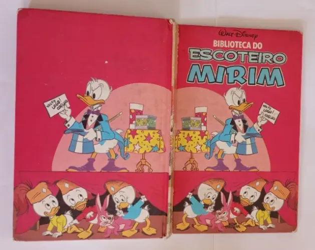 Livro Biblioteca Do Escoteiro Mirim Volume 15 (1985)